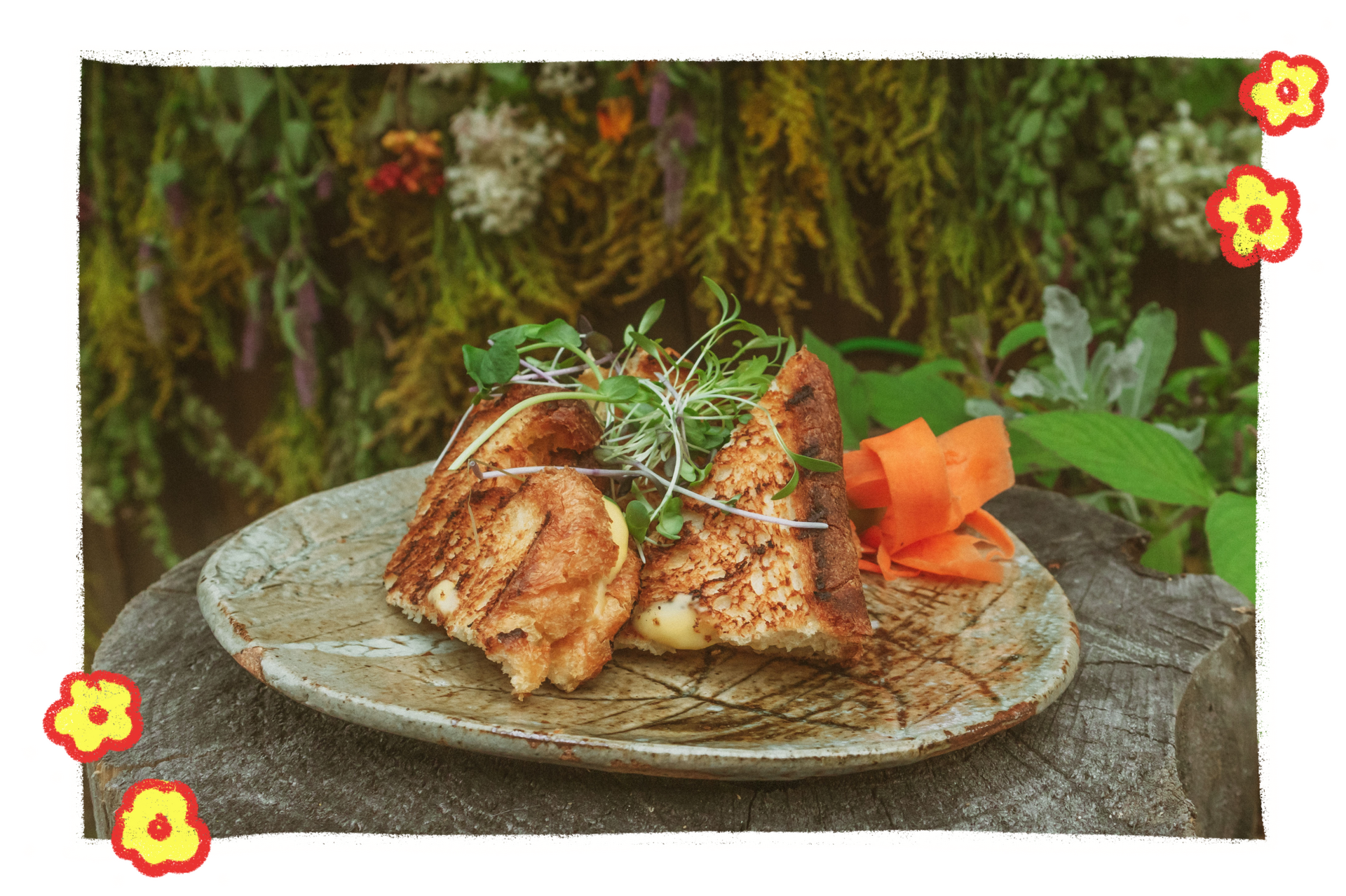 Le Grill Cheeze Le Grill Cheeze